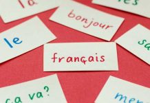 لماذا لا تتخلى الدول المغاربية عن الفرنسية؟ لماذا لا تتخلى الدول المغاربية عن الفرنسية؟