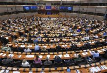 ضغوط أوروبية جديدة على الجزائر بسبب صفقات الأسلحة مع روسيا ضغوط أوروبية جديدة على الجزائر بسبب صفقات الأسلحة مع روسيا