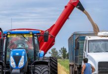 الأرجنتين نحو تأجيل تصدير القمح؛ مصر والجزائر والمغرب أبرز المتضررين الأرجنتين نحو تأجيل تصدير القمح؛ مصر والجزائر والمغرب أبرز المتضررين