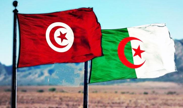 اختتام اللّجنة المشتركة التونسية الجزائرية للضمان الاجتماعي المنعقدة بتونس اختتام اللّجنة المشتركة التونسية الجزائرية للضمان الاجتماعي المنعقدة بتونس