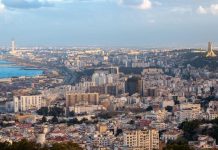 هل هي جنازة السياسة في الجزائر؟ هل هي جنازة السياسة في الجزائر؟