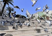 عن تطلّعات الجزائريين في 2023 عن تطلّعات الجزائريين في 2023