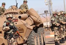 الجزائر تعلن “تحييد” 3 مسلحين وتوقيف 22 آخرين الجزائر تعلن "تحييد" 3 مسلحين وتوقيف 22 آخرين