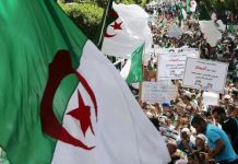 أموال الجزائر المنهوبة.. الممكن والصعب في رحلة استعادتها أموال الجزائر المنهوبة.. الممكن والصعب في رحلة استعادتها