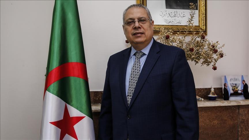 سفير الجزائر: نقف بجانب تركيا لمحو آثار كارثة الزلزال سفير الجزائر: نقف بجانب تركيا لمحو آثار كارثة الزلزال