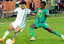 هذا ما قرره الاتحاد الأفريقي بشأن المغرب والجزائر بعد أحداث “الشان” هذا ما قرره الاتحاد الأفريقي بشأن المغرب والجزائر بعد أحداث "الشان"