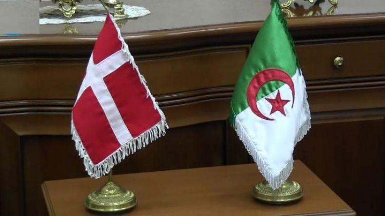 خارطة طريق للتعاون بين الجزائر والدنمارك في مجال الطاقة خارطة طريق للتعاون بين الجزائر والدنمارك في مجال الطاقة