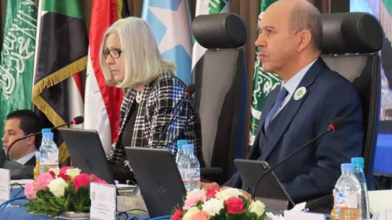 سايحي: مواضيع في غاية الأهمية على طاولة مجلس وزراء الصحة العرب سايحي: مواضيع في غاية الأهمية على طاولة مجلس وزراء الصحة العرب