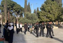 إدانات عربية للاقتحام الإسرائيلي للأقصى والاعتداء على المصلين إدانات عربية للاقتحام الإسرائيلي للأقصى والاعتداء على المصلين