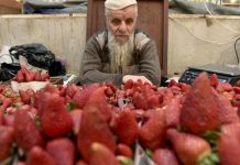 معركة ساخنة حول “المضاربة على قوت الجزائريين” معركة ساخنة حول "المضاربة على قوت الجزائريين"