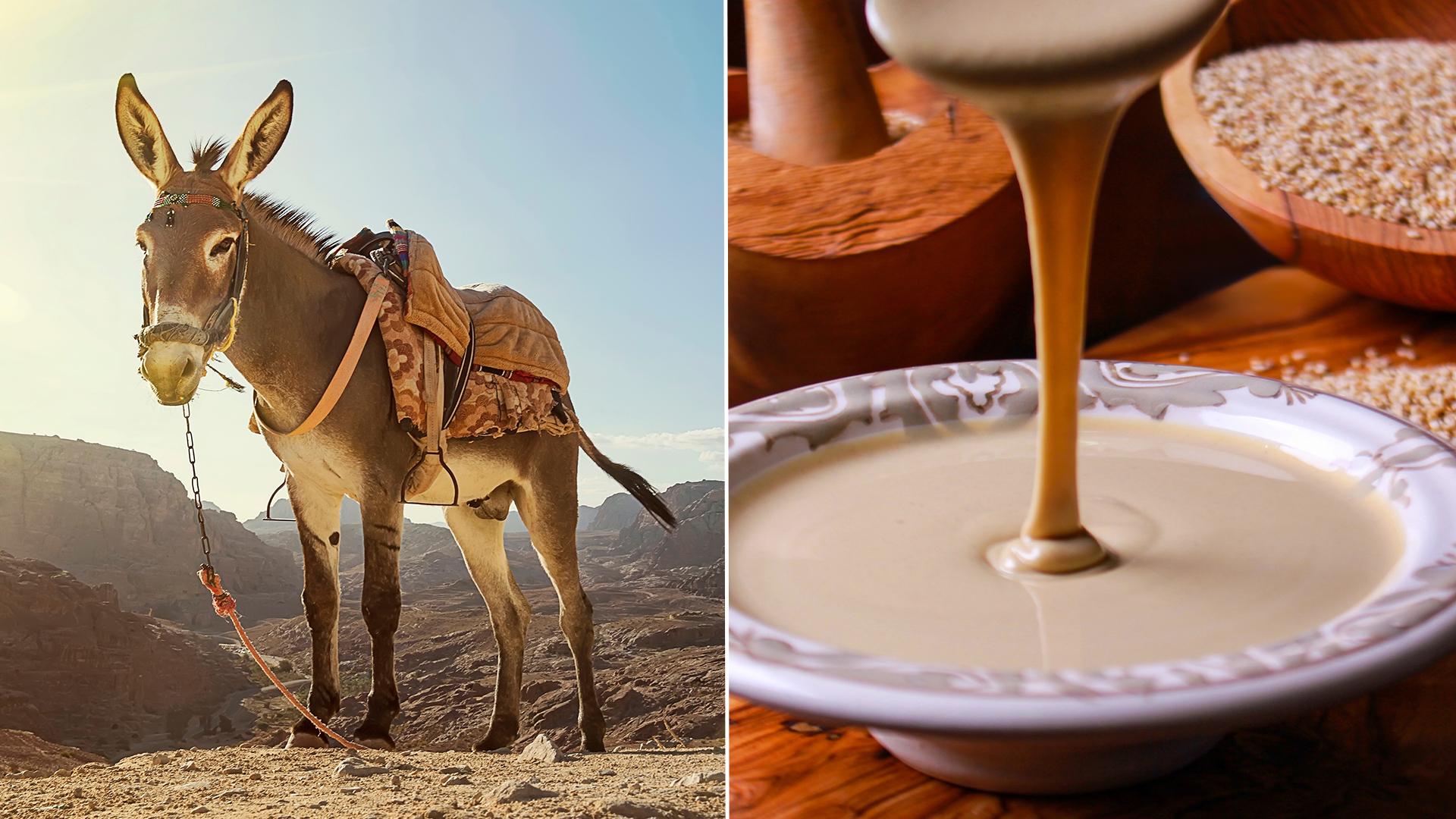 موجة غضب عارمة ومطالبات بالمحاسبة.. طحينة سيراميك في مصر ولحوم حمير مسلوخة في الجزائر موجة غضب عارمة ومطالبات بالمحاسبة.. طحينة سيراميك في مصر ولحوم حمير مسلوخة في الجزائر