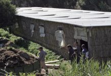 شح اليد العاملة يعطل زراعة الجزائر شح اليد العاملة يعطل زراعة الجزائر