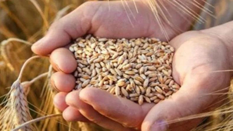 التأمينات الفلاحية والأمن الغذائي موضوع مؤتمر إفريقي التأمينات الفلاحية والأمن الغذائي موضوع مؤتمر إفريقي