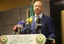 رئيس حزب جزائري: وزير الزراعة يضلل تبون حول إنتاج القمح رئيس حزب جزائري: وزير الزراعة يضلل تبون حول إنتاج القمح