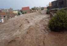 مسؤول جزائري يكشف أسباب الفيضانات الأخيرة في بلاده وعدد المواقع المهددة بها مسؤول جزائري يكشف أسباب الفيضانات الأخيرة في بلاده وعدد المواقع المهددة بها