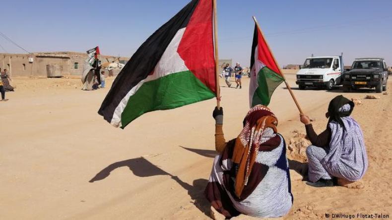 الصحراء الغربية: وجود الجزائر في مجلس الأمن سيكون له صداه الصحراء الغربية: وجود الجزائر في مجلس الأمن سيكون له صداه
