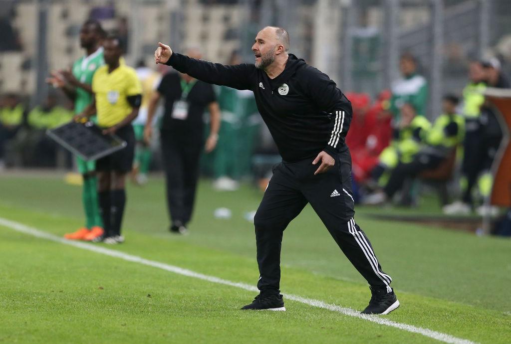 موهبتان جديدتان تدخلان حسابات بلماضي ومنتخب الجزائر موهبتان جديدتان تدخلان حسابات بلماضي ومنتخب الجزائر