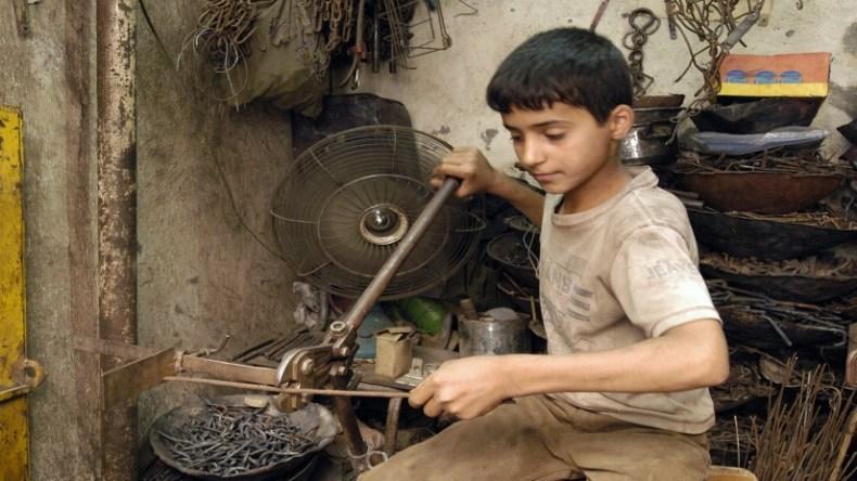 هذه نسبة عمالة الأطفال في الجزائر هذه نسبة عمالة الأطفال في الجزائر