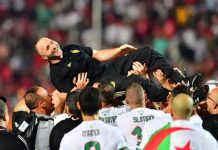 موهبة جزائرية صاعدة في موناكو: هل تكون حلاً لمشكلة بلماضي والجزائر؟ موهبة جزائرية صاعدة في موناكو: هل تكون حلاً لمشكلة بلماضي والجزائر؟