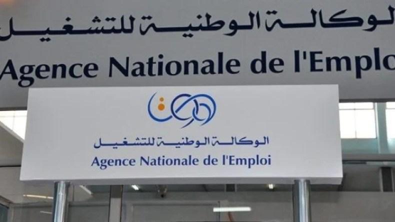 جديد التكوين المهني للمستفيدين من منحة البطالة جديد التكوين المهني للمستفيدين من منحة البطالة