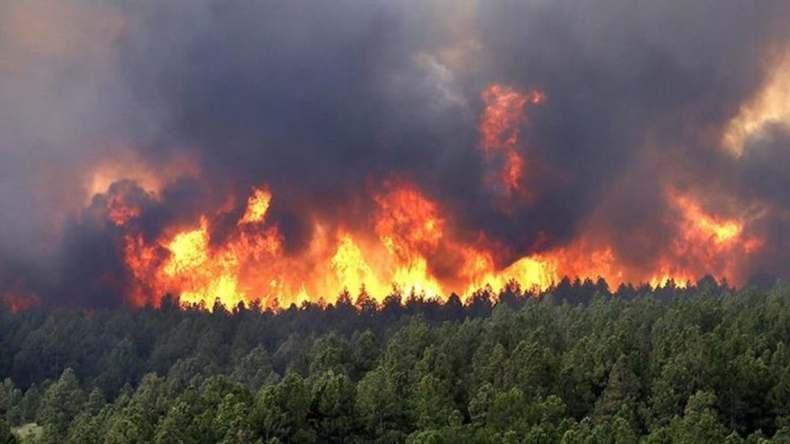 حرائق الغابات محور محادثة مرَاد مع نظيره التونسي حرائق الغابات محور محادثة مرَاد مع نظيره التونسي