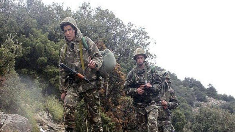 توقيف إرهابي و12 عنصر دعم للجماعات الإرهابية خلال جويلية توقيف إرهابي و12 عنصر دعم للجماعات الإرهابية خلال جويلية