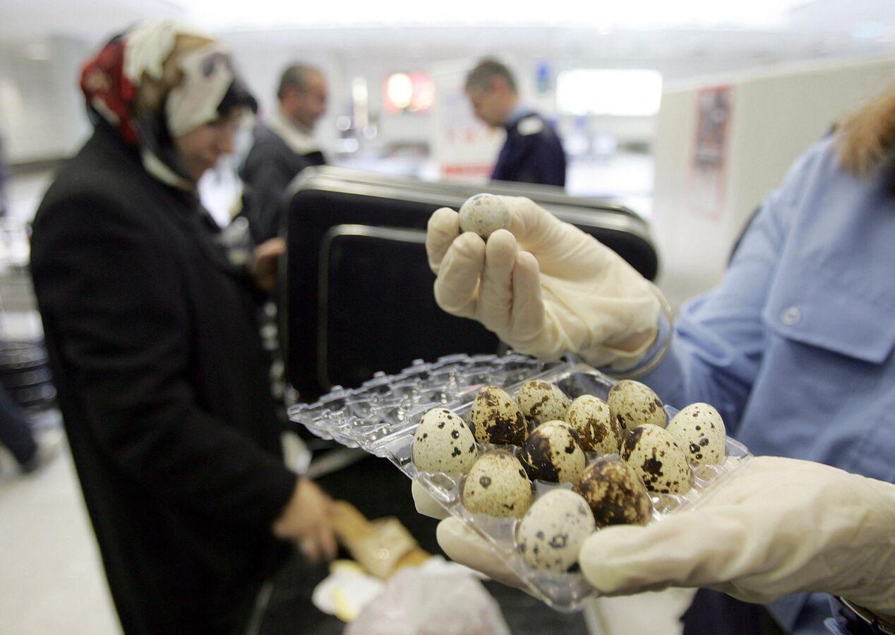 فوائد بيض السمان.. فوائد بيض السمان..