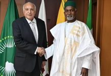 الجزائر ونيجيريا تبحثان فرص الحل السلمي لأزمة النيجر الجزائر ونيجيريا تبحثان فرص الحل السلمي لأزمة النيجر