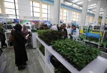 “الجزائر خضراء”… مبادرات تطوعية لاستدراك خسائر الحرائق "الجزائر خضراء"... مبادرات تطوعية لاستدراك خسائر الحرائق