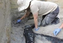 اكتشاف هيكل خشبي يعود إلى نصف مليون عام في أفريقيا اكتشاف هيكل خشبي يعود إلى نصف مليون عام في أفريقيا