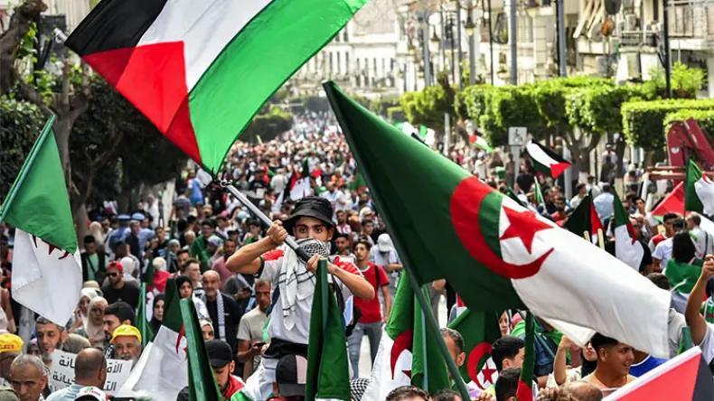 المقاومة انتصرت أخلاقيا وإعلاميا وحذار من التثبيط المقاومة انتصرت أخلاقيا وإعلاميا وحذار من التثبيط