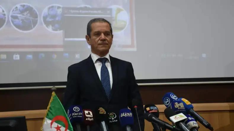 وزير الفلاحة: العدد الحقيقي لشعبة الأغنام لا يتجاوز 17 مليون رأس وزير الفلاحة: العدد الحقيقي لشعبة الأغنام لا يتجاوز 17 مليون رأس