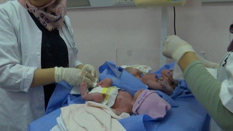 سجلات الحالة المدنية الجزائرية تتزين بأسماء فلسطينية نضالية سجلات الحالة المدنية الجزائرية تتزين بأسماء فلسطينية نضالية