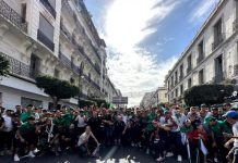 جماهير مولدية الجزائر تبدع في “تيفو” عنوانه: فداك يا أرض الثوار جماهير مولدية الجزائر تبدع في "تيفو" عنوانه: فداك يا أرض الثوار