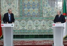 تبون: أكدت مع الرئيس أردوغان ضرورة محاكمة المسؤولين عن الإبادة بغزة تبون: أكدت مع الرئيس أردوغان ضرورة محاكمة المسؤولين عن الإبادة بغزة