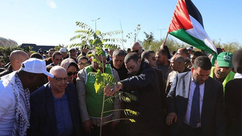 بعدد شهداء فلسطين.. غرس 14523 شجيرة في وهران بعدد شهداء فلسطين.. غرس 14523 شجيرة في وهران