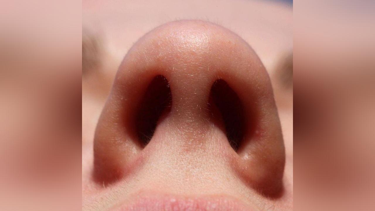 دراسة: سبب الحكة المستمرة هي بكتيريا تعيش في أنف الإنسان دراسة: سبب الحكة المستمرة هي بكتيريا تعيش في أنف الإنسان