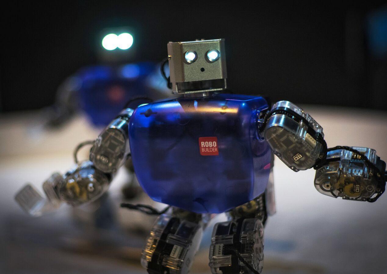 علماء يعيدون مخلوقا بحريا من عصور ما قبل التاريخ إلى الحياة في هيئة روبوت… فيديو علماء يعيدون مخلوقا بحريا من عصور ما قبل التاريخ إلى الحياة في هيئة روبوت… فيديو