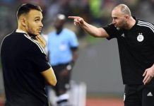 فالنتين بيس شاب فرنسي يقود مهمة خاصة مع المدرب بلماضي فالنتين بيس شاب فرنسي يقود مهمة خاصة مع المدرب بلماضي