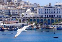 عدد الجزائريين سيتجاوز 47 مليوناً عام 2025 عدد الجزائريين سيتجاوز 47 مليوناً عام 2025