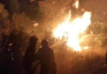 الجزائر تكافح لإخماد 13 حريقا في 9 ولايات الجزائر تكافح لإخماد 13 حريقا في 9 ولايات