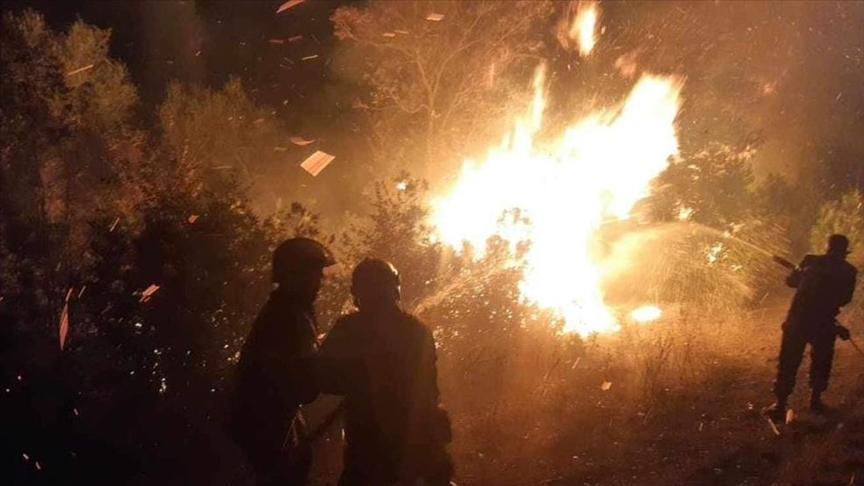الجزائر تكافح لإخماد 13 حريقا في 9 ولايات