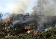 إجلاء سكان في تيزي وزو لحمايتهم من حرائق غابات إجلاء سكان في تيزي وزو لحمايتهم من حرائق غابات