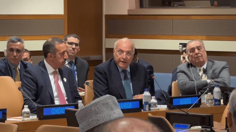 هذا ما بحثه وزراء الخارجية العرب في اجتماعهم التشاوري هذا ما بحثه وزراء الخارجية العرب في اجتماعهم التشاوري