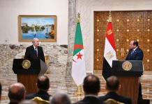 مبادرة مصرية لوقف إطلاق نار مؤقت في غزة مبادرة مصرية لوقف إطلاق نار مؤقت في غزة