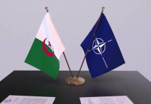 أمن الطاقة يعزز التقارب بين الجزائر والناتو الأمن الطاقي يعزز التقارب بين الجزائر والناتو