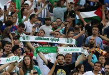 4 تحديات لكرة الجزائر في 2025.. تجاوز عقدة تُلاحق الخُضر 4 تحديات لكرة الجزائر في 2025.. تجاوز عقدة تُلاحق الخُضر