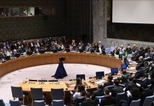 الجزائر تدعو مجلس الأمن لمشاورات مغلقة حول وضع الأونروا “الخطير” الجزائر تدعو مجلس الأمن لمشاورات مغلقة حول وضع الأونروا "الخطير"