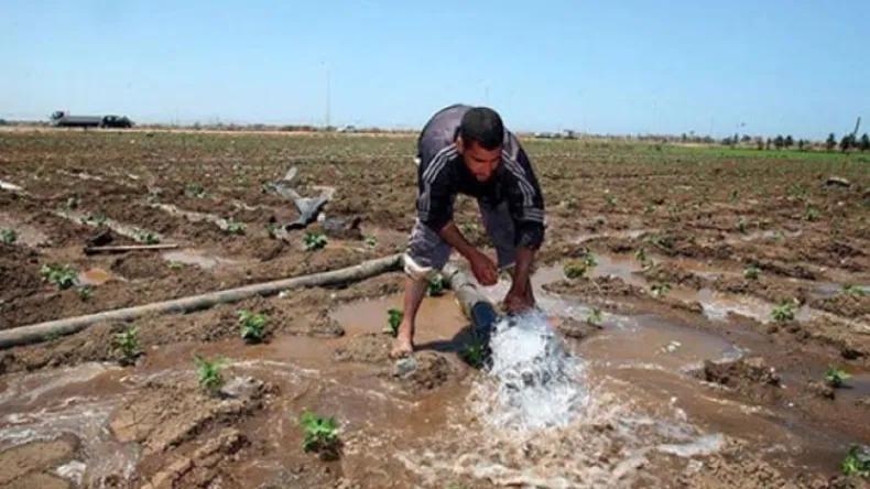 فلاحون يطالبون بحلول استعجالية لمواجهة شح الأمطار