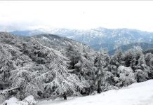 الثلوج تغطي مناطق واسعة وتقطع طرقا بوسط وشرقي الجزائر الثلوج تغطي مناطق واسعة وتقطع طرقا بوسط وشرقي الجزائر